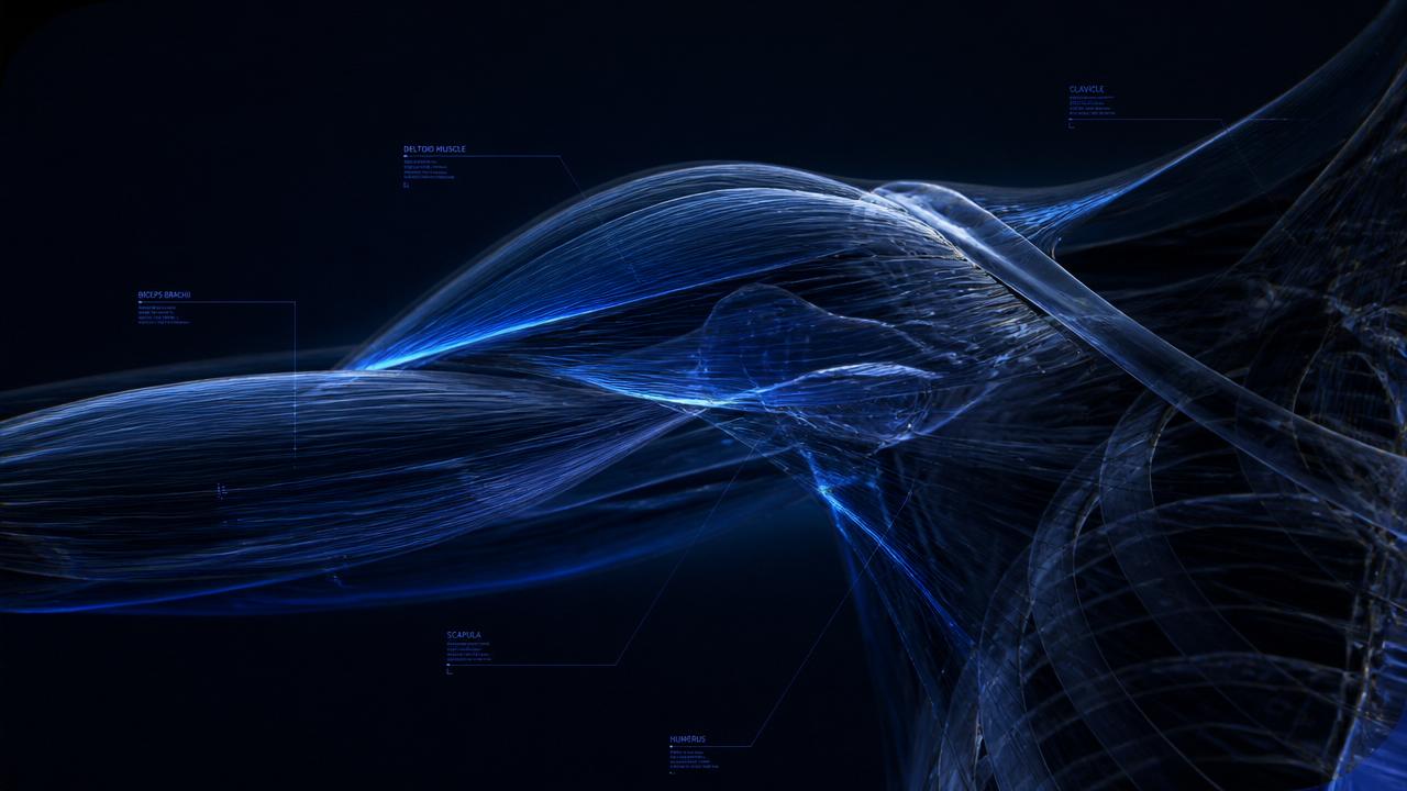 Abstract anatomical illustration of muscle fibers and biomechanics